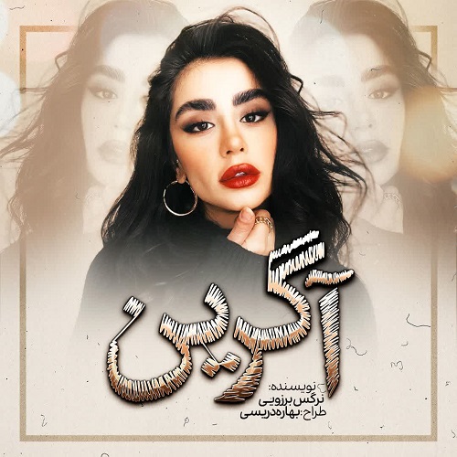 دانلود کتاب آگرین  از نرگس برزویی