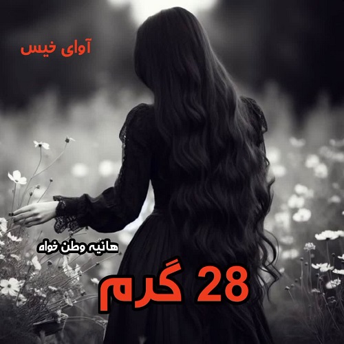 دانلود کتاب 28 گرم از هانیه وطن خواه